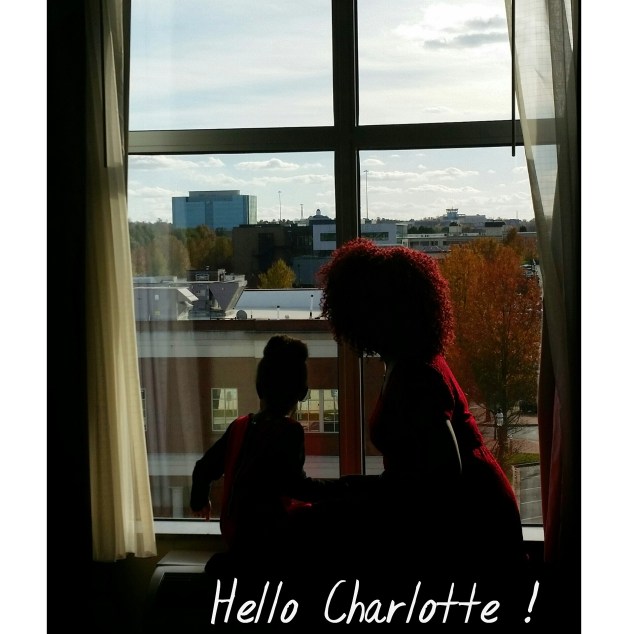 IMG_20151127_153133.jpg image