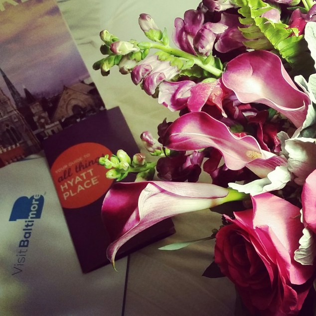 IMG_20160213_195429.jpg image