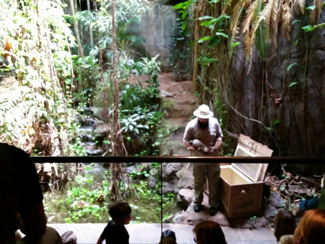 20160618_114849.jpg image