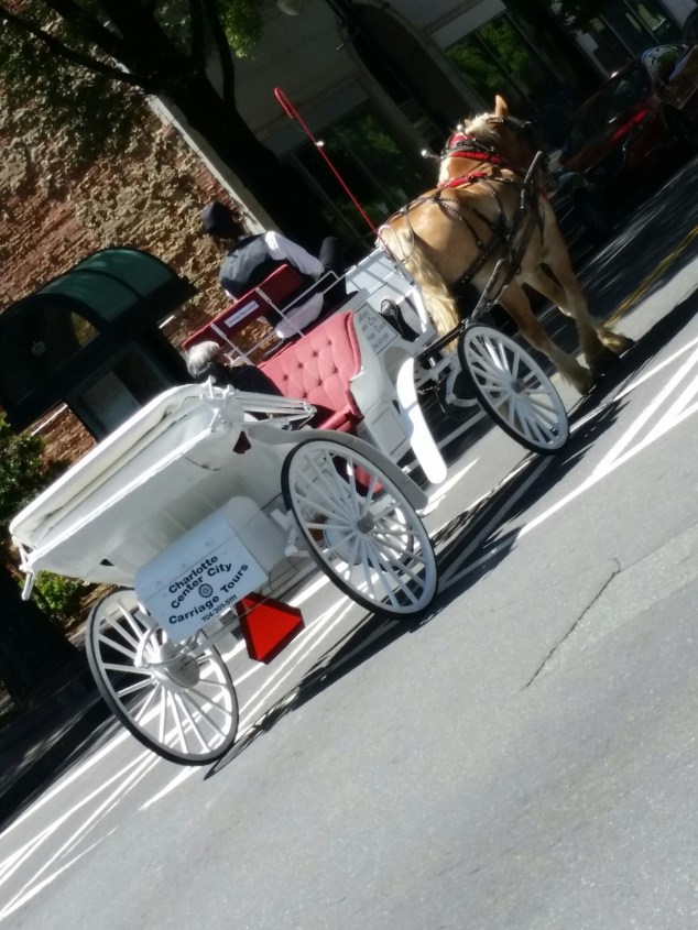 20160618_115751.jpg image