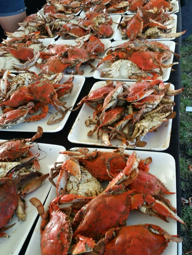 20160625_174403.jpg image